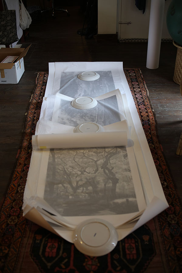LKJ's Large Infrared Prints Unrolled From Storage